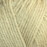 STYLECRAFT SPECIAL CHUNKY